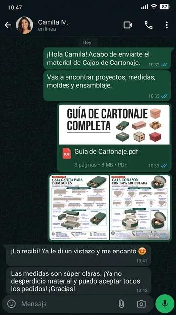 Conversación de WhatsApp sobre la recepción del material de proyectos